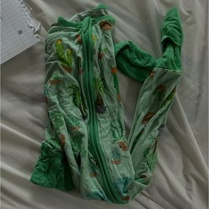 12/18 succulents zippy 🌵